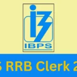 IBPS RRB Clerk 2024