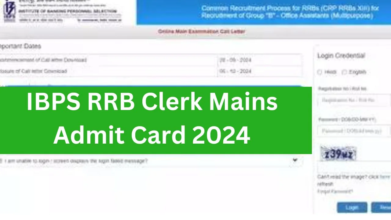 IBPS RRB Clerk Mains Admit Card 2024