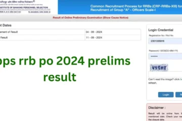 ibps rrb po 2024 prelims result out