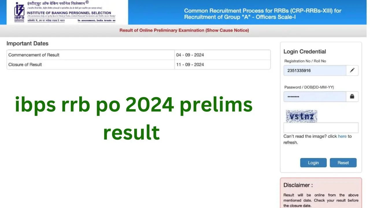 ibps rrb po 2024 prelims result out