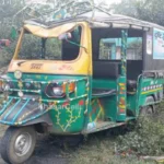 Uncontrolled-auto-overturns-in-Bhurkunda-driver-and-father-daughter-injured