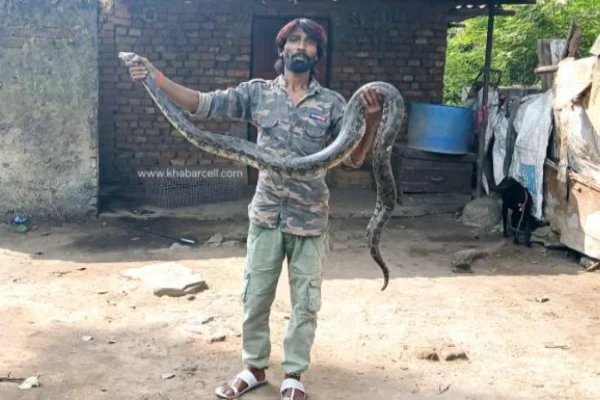 sarp-mitra-Mithun-once-again-rescues-a-python